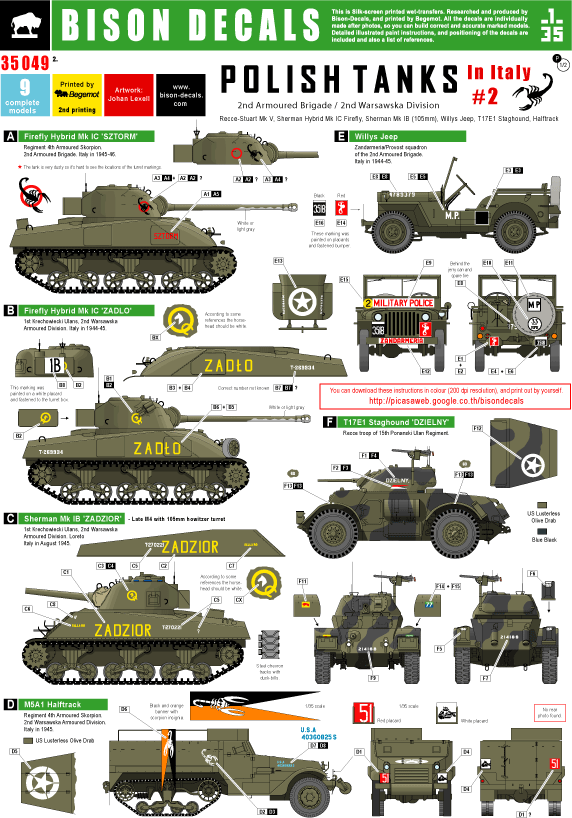 Polish Tanks in Italy 2